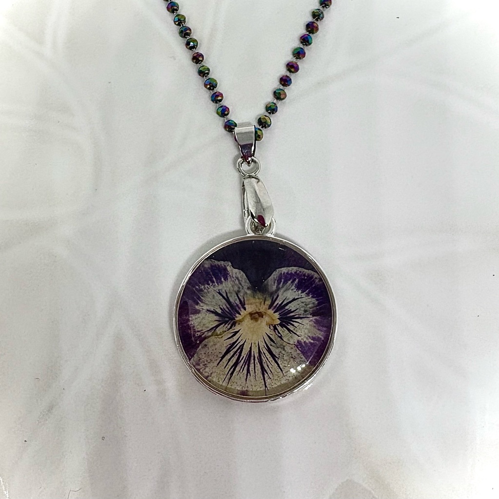Twilight Pansy